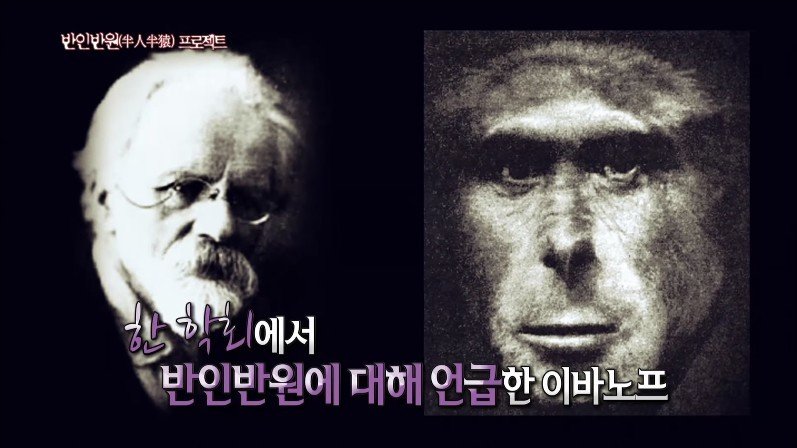 [서프라이즈] 사람과 원숭이를 교배하려던 미친 박사의 최후 (스압)