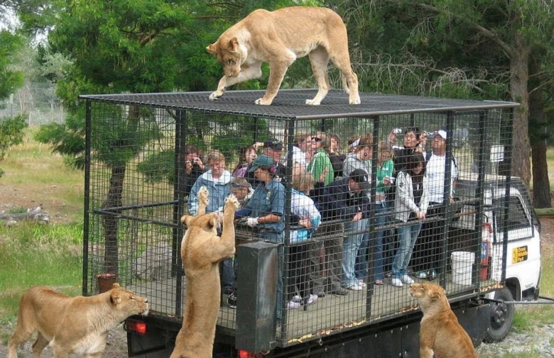 동물원 체험.jpg 사진