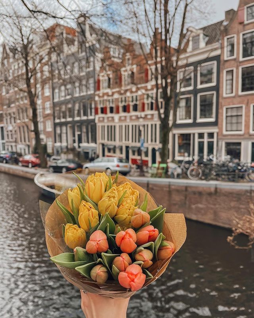 Welcome to spring ✨ ✖️✖️✖️🇳🇱 📸Nice photo and story  by @anit.love ✈️FOUNDER: