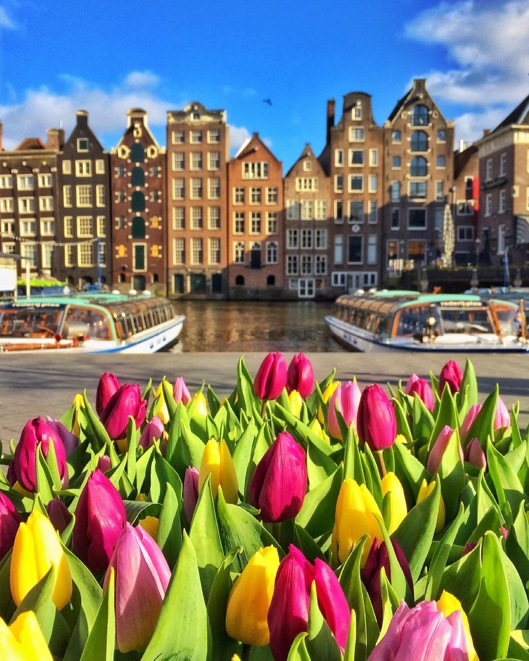 💐 Welcome to spring, Amsterdam.✨ ✖️✖️✖️🇳🇱 📸Nice photo and story  by @debyan