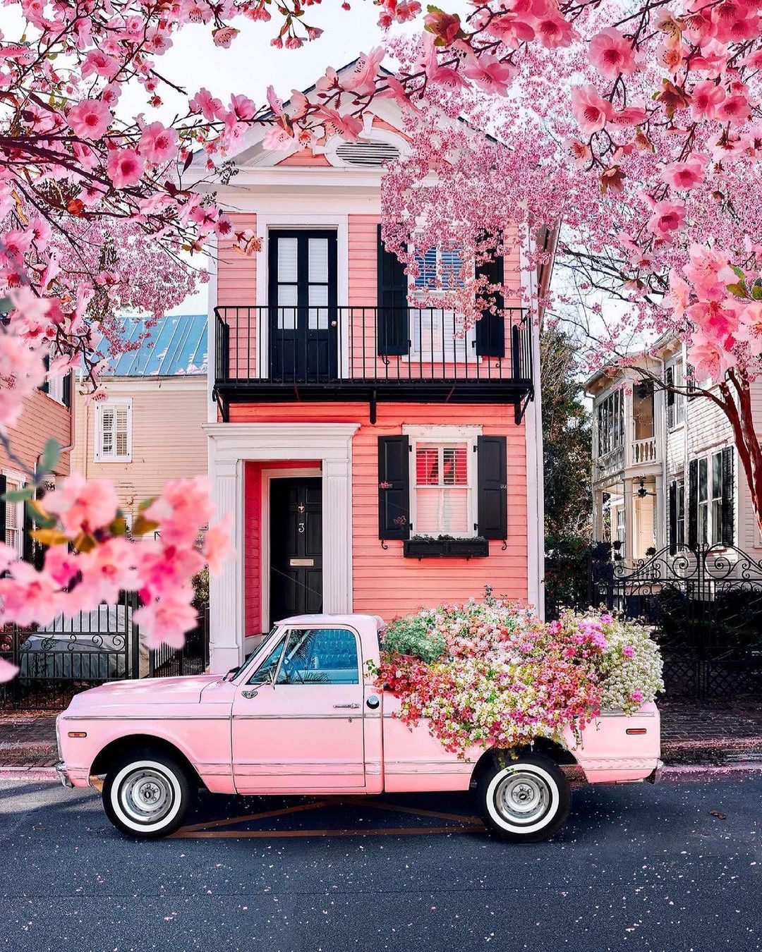 Spring vibes in the US 💕🌸 Courtesy of @kjp Tag your best travel photos